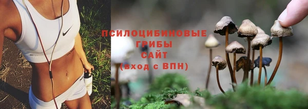 прущие грибы Белоозёрский