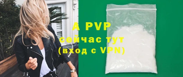 прущие грибы Белоозёрский
