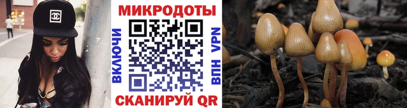 Псилоцибиновые грибы мицелий  Сегежа 